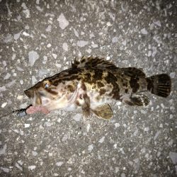 風を避けて移動しながら