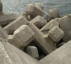 良いサイズが釣れました