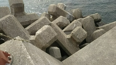 良いサイズが釣れました