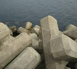 気温が低かった