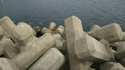 気温が低かった