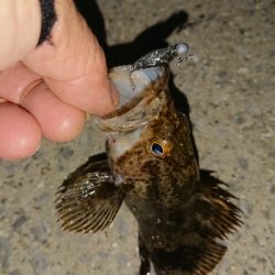 メバリング修行