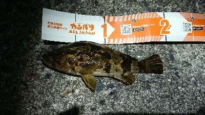 メバリング、寒い