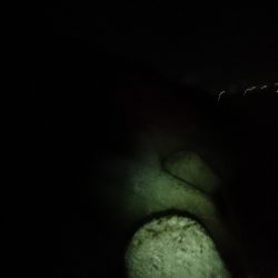 ガッシーすら厳しい