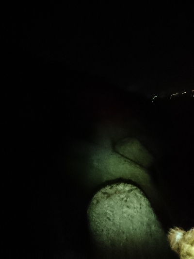 ガッシーすら厳しい