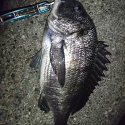 サイズがイマイチ…