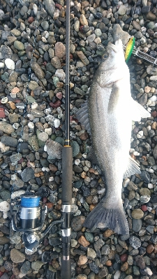 仁淀川河口サーフ、ショアジギング