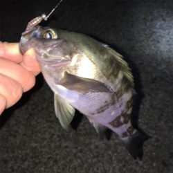 強風でもなんとかキャッチ