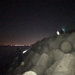 メバルプラッキング夜霧Z