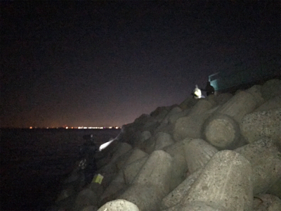 メバルプラッキング夜霧Z