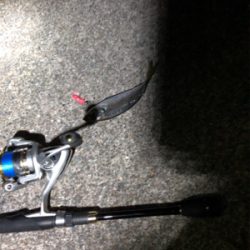 ナイトアジング