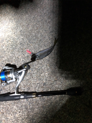 ナイトアジング