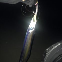 激渋でもおったら釣れます