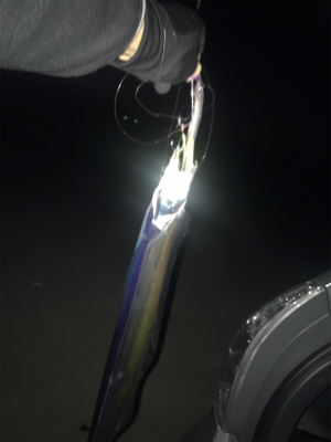 激渋でもおったら釣れます