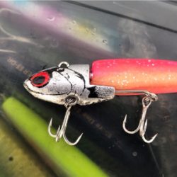 タチウオからの痛恨のバラシ