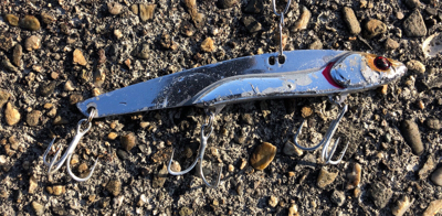 サバゲー、、青物には巡り会えず