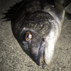 激渋メバリング(ーー;)