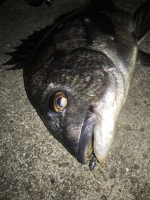 激渋メバリング(ーー;)