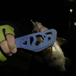 初めての長島釣り