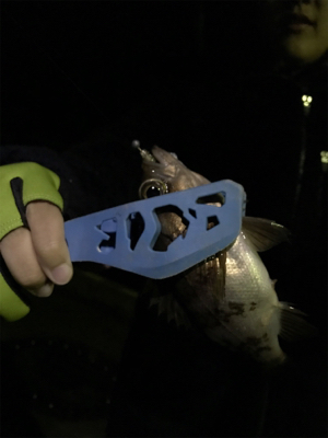 初めての長島釣り