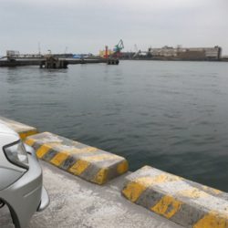 短時間タコ狙い