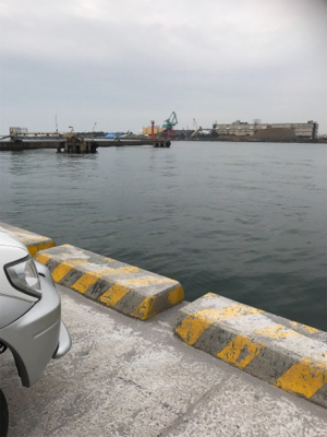 短時間タコ狙い