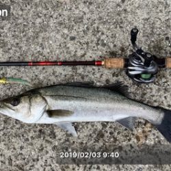 やっぱりVJキテタ━━(゚∀゚)━━!!!!