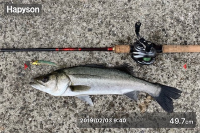 やっぱりVJキテタ━━(゚∀゚)━━!!!!