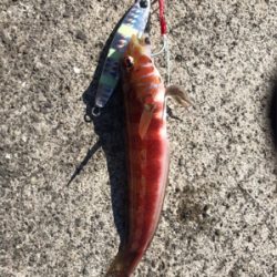 ショアジギング