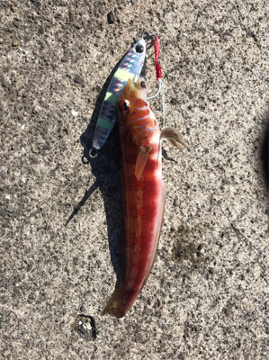 ショアジギング