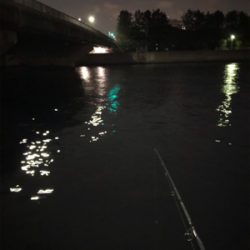 バチ抜けを期待して