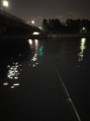 バチ抜けを期待して