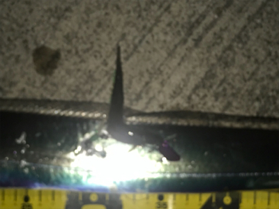 水軒でもおったら釣れます