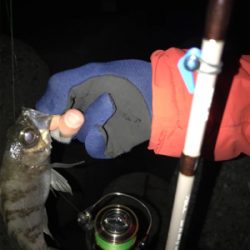 メバリング 短時間