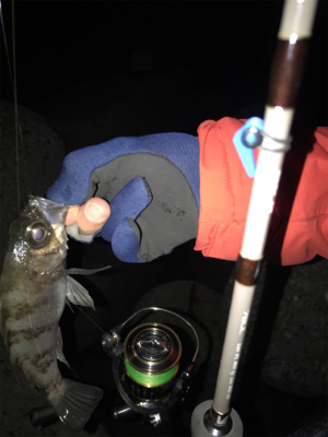 メバリング 短時間