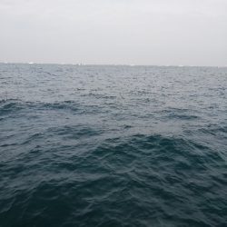 鳥羽ジギング！