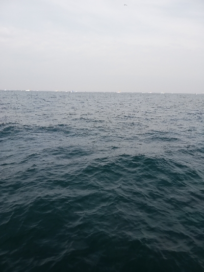 鳥羽ジギング！