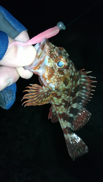 ナイトメバリング