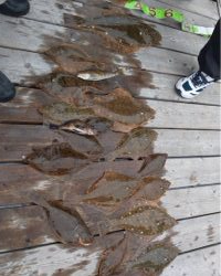 プライベートボートで仙台湾カレイ釣り！