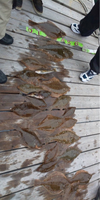 プライベートボートで仙台湾カレイ釣り！