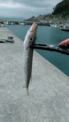 デカマスゲーム