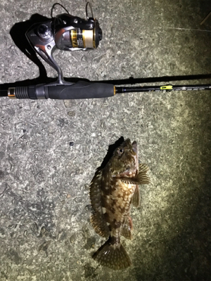 御所浦ライトゲームリベンジ③