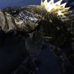 タケノコ1本‼️