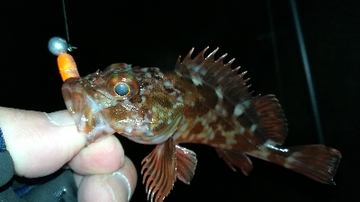 ナイトメバリング