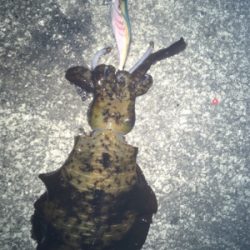 寒かったです！