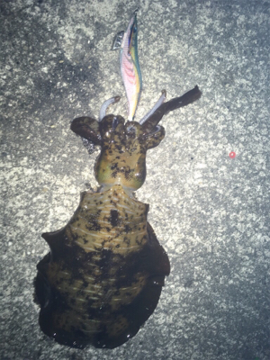 寒かったです！