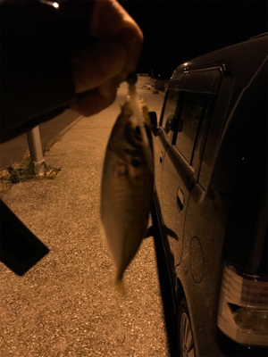 牛深ライトゲーム①