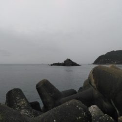 リベンジも渋い