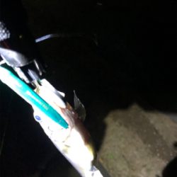 バチ、、、抜け？