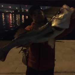 やっと今年初シーバス！